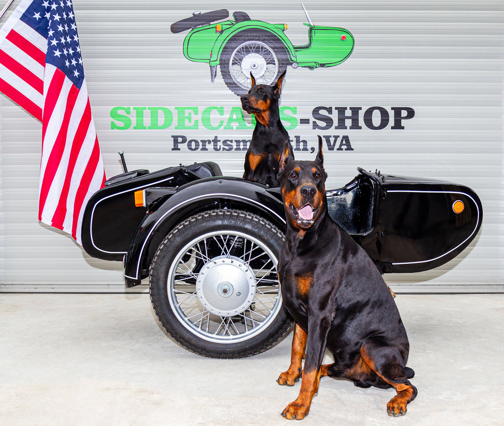 Vintage Sidecar for Motorcycle Dnepr Refurbished Sidecar USA Location Compatible with Harley Davidson, BMW, Honda, Triumph, Kawasaki