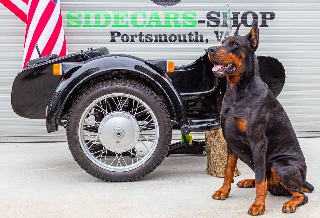 Dnepr Sidecar for Motorcycle fits BMW Harley Davidson Indian Ural Triumph Kawasaki